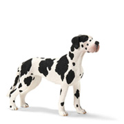 A Female Great Dane Toy Figure from Schleich