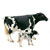 Schleich Farm Range