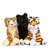 Kinectimals Toys