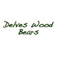Delves Wood Bears logo