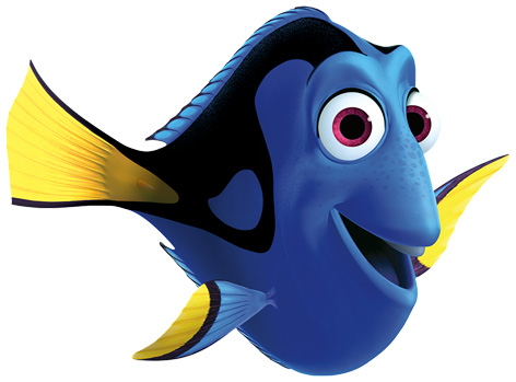 Dory