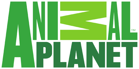Official Animal Planet logo
