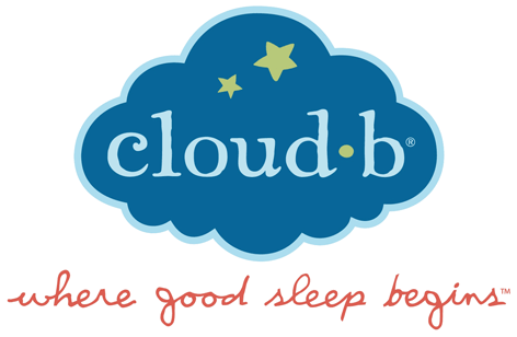 Official Cloud B Logo