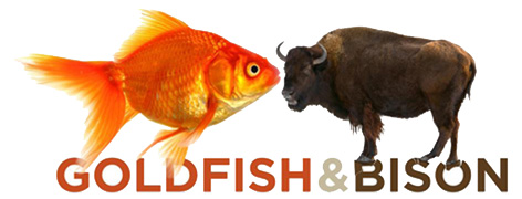 Official Goldfish & Bison logo