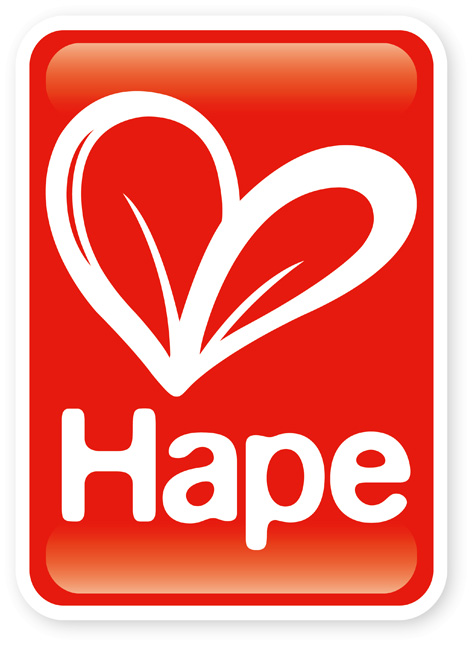 Official Hape Toys Logo width=