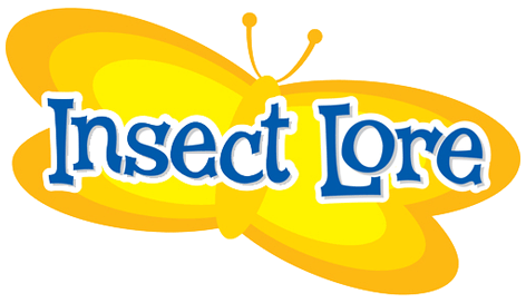 Official Insect Lore Logo