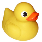 The Ultimate Bath Toy - A Rubber Duck