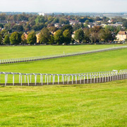 Newmarket race course