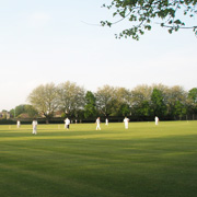 Havant Cricket Club