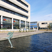 Harlow Water Gardens