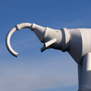 Camberley's White Elephant