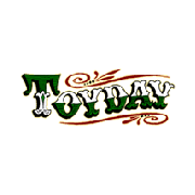 Toyday Traditional & Classic Toys Logo