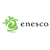 Enesco Logo