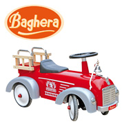 Baghera Logo