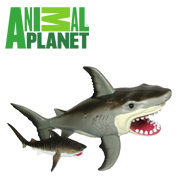 Animal Planet Logo